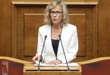 Γ. Πούλου: Οι διασώστες θέλουν και μπορούν, εμείς πως ανταποκρινόμαστε;
