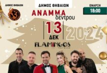 Την παρασκευή η φωταγώγηση του χριστουγεννιάτικου δένδρου στη Θήβα