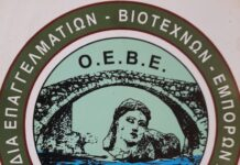 Νέο Δ.Σ στην ΟΕΒΕ Λιβαδειάς- πρόεδρος ο Δημήτρης Γέρος