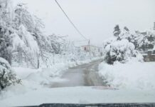 Βοιωτία: Κλειστά σχολεία και τηλεκπαίδευση λόγω ψύχους