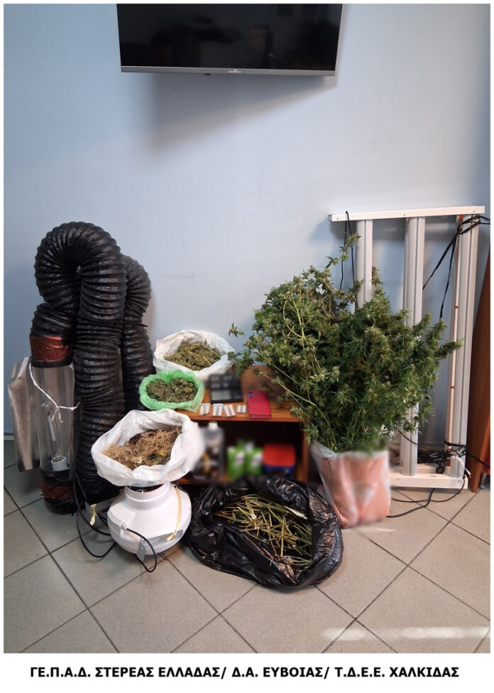 FOTO-1