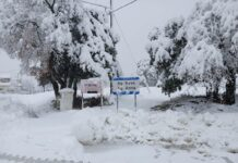“Θάφθηκε” στο χιόνι ο Ελικώνας