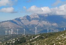 Στο ΣτΕ προσέφυγε ο Δήμος Αλιάρτου-Θεσπιέων για νέες ΑΠΕ και αποθήκευση μπαταριών