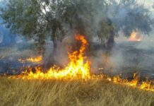 Βοιωτία: προσοχή στην καύση υπολειμμάτων καλλιεργειών λόγω υψηλών θερμοκρασιών