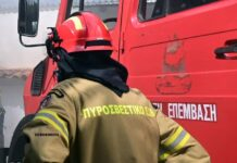 Σύλληψη και πρόστιμο για καύση κλαδιών στην Ανάληψη του Δήμου Λεβαδέων
