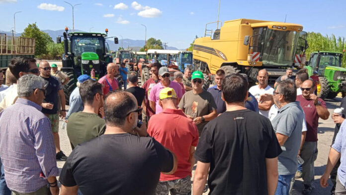agrotes-livadias-4-e1758207224140