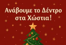 Ανάβουμε το χριστουγεννιάτικο δέντρο στα Χώστια – Δήμος Θηβαίων