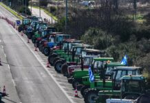 Άνοιξε η Εθνική Οδός σε Θήβα και Κάστρο 15 Ιανουαρίου, 20261 Min Read