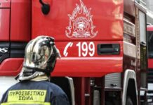 Συλλήψεις και πρόστιμα από την Π.Υ για φωτιές στο Δήμο Λεβαδέων