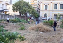 Kαθαρισμός οικοπέδων και υποχρεώσεις πολιτών. Δήμος Λεβαδέων