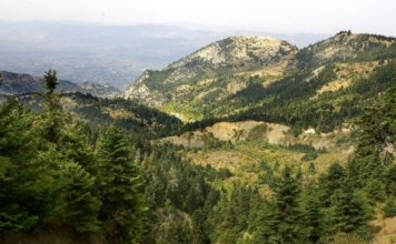 Η Αποκεντρωμένη Διοίκηση δεν ενέκρινε την ΜΠΕ για τους ΑΣΠΗΕ σε ΞΕΡΟΒΟΥΝΙ και ΜΑΚΡΥΡΑΧΗ της Οίτης