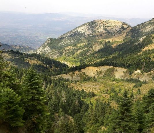 Η Αποκεντρωμένη Διοίκηση δεν ενέκρινε την ΜΠΕ για τους ΑΣΠΗΕ σε ΞΕΡΟΒΟΥΝΙ και ΜΑΚΡΥΡΑΧΗ της Οίτης