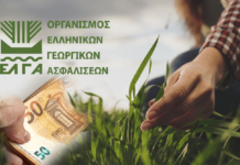 «Άμεση στήριξη των πληγέντων παραγωγών της Βοιωτίας στη δημοτική ενότητα Δαύλειας και Κοινότητα Πύργου. Η κυβέρνηση υποχρεούται να δράσει τώρα που έπαθαν καταστροφή».