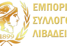 ΣΥΜΜΕΤΟΧΗ ΕΣΛ ΣΤΙΣ ΚΙΝΗΤΟΠΟΙΗΣΕΙΣ 28/02/2025