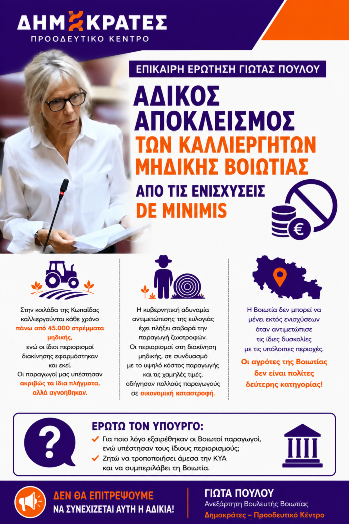 ΕΠΙΚΑΙΡΗ-de-minimis