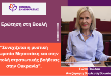 H Ελλάδα καταδικάζεται για τις επαναπροωθήσεις με κυβερνητική ευθύνη! – ΓΙΩΤΑ ΠΟΥΛΟΥ