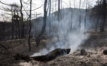 Aσυντήρητa και επικίνδυνa δικτύων